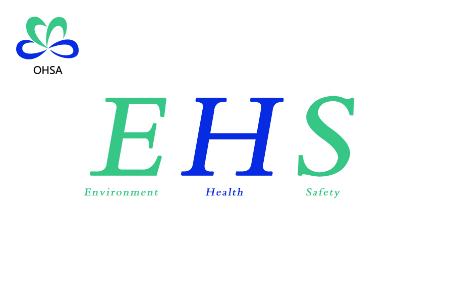 EHS綜合能力建設(shè)與咨詢(xún)